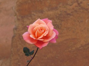 2015-01-29 20.57.16-1