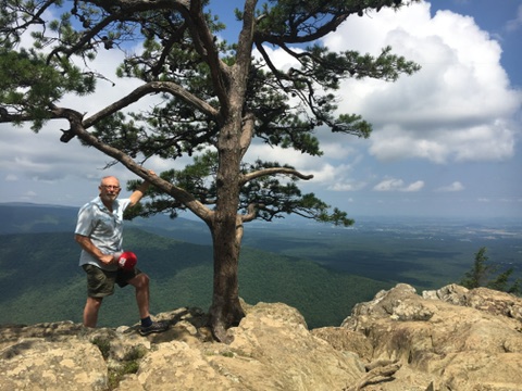 85a6c8d8-4a8d-4809-9fe8-cb5a3f7c9fcb