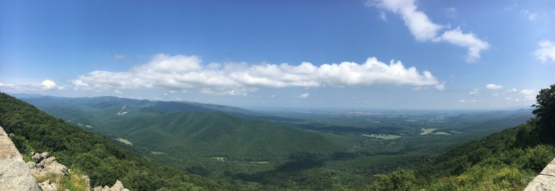 d450af9d-8299-49ec-af05-e03716f5ca82