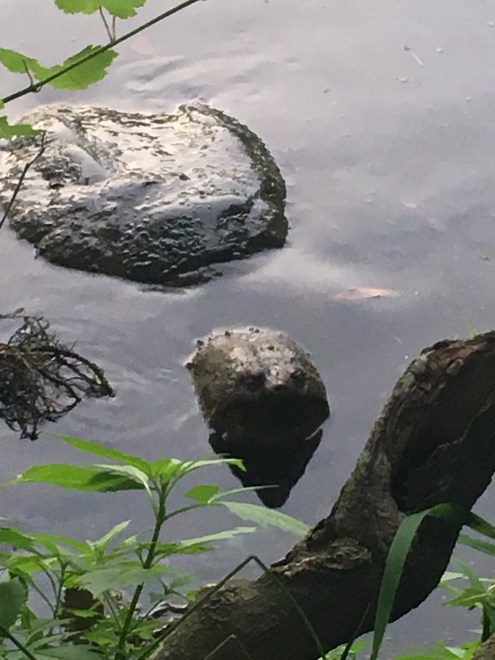 f914deb7-0114-4058-869a-031354c0073c